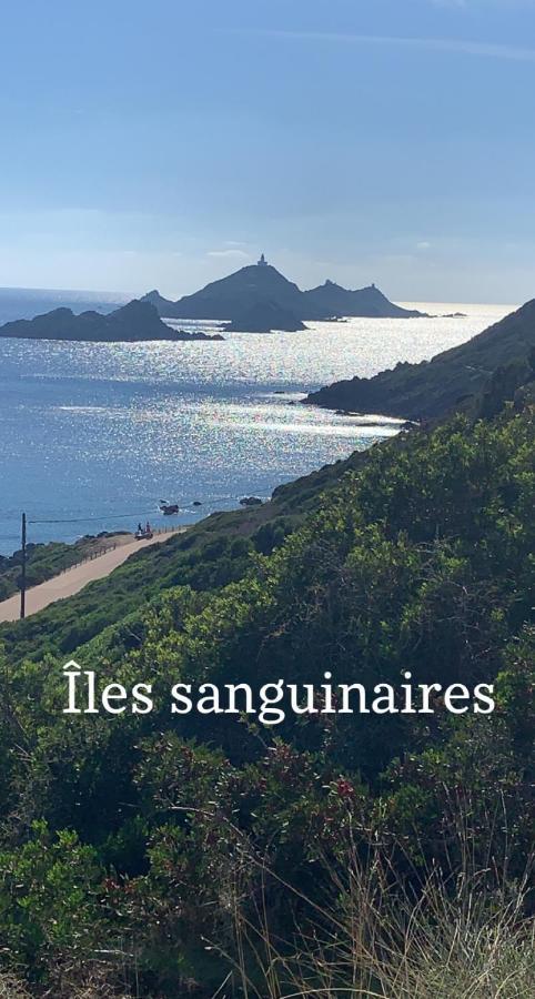Magnifique Appartement Vue Mer, Spacieux Et Traversant Ajaccio  Ngoại thất bức ảnh